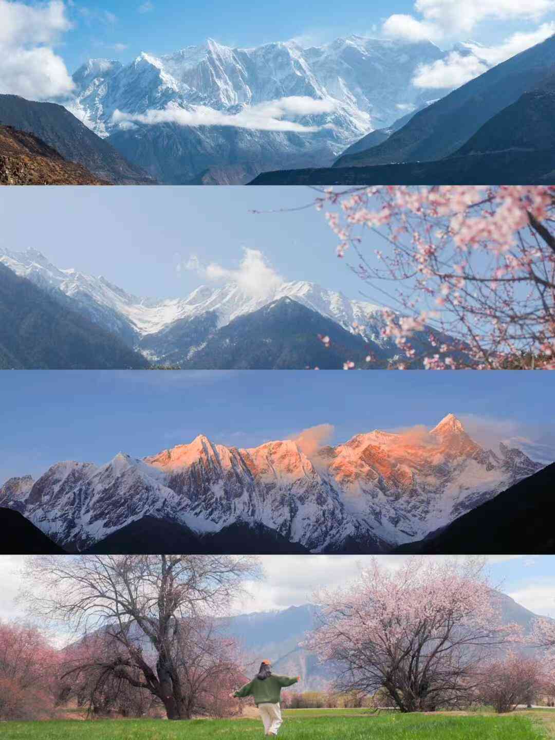 netizens(圖3)