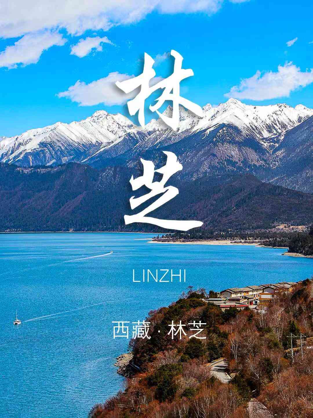 netizens(圖4)